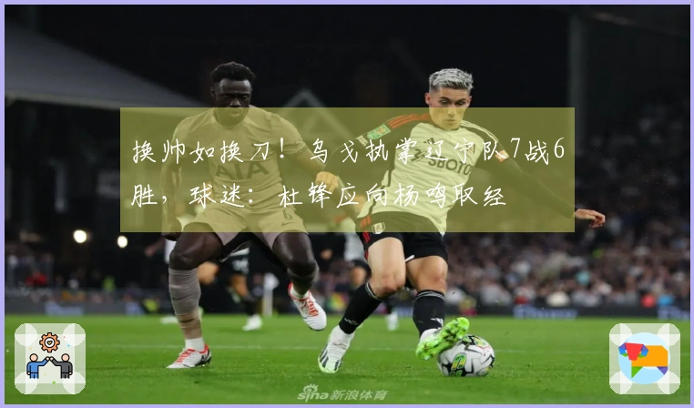 换帅如换刀！乌戈执掌辽宁队7战6胜，球迷：杜锋应向杨鸣取经