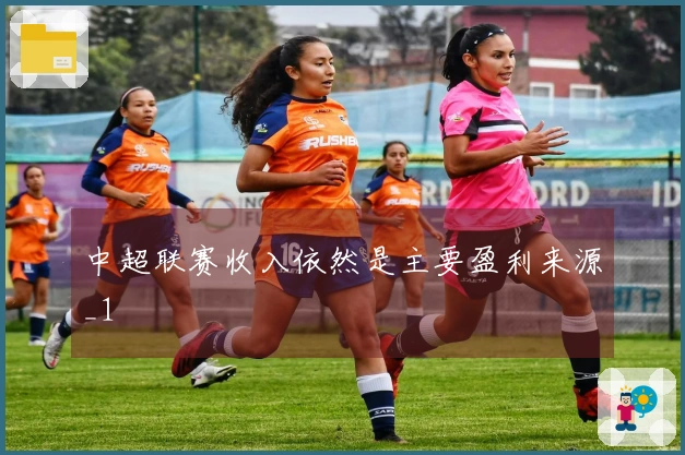中超联赛收入依然是主要盈利来源_1
